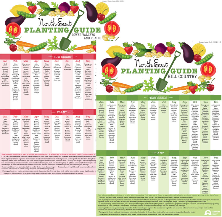 Vegetable Growing Chart Australia